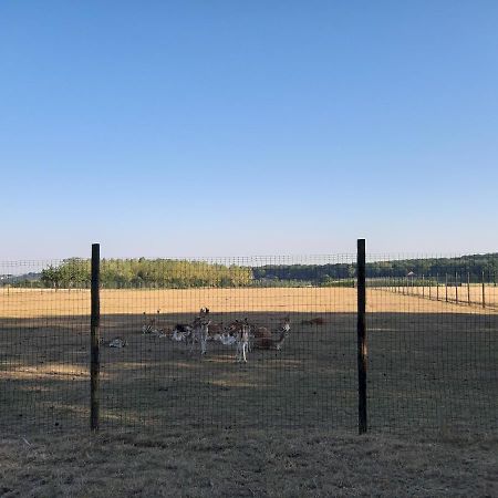 Lemen Huis Houwaart Tielt Exterior foto